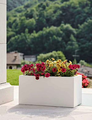 Kit Schio Cassa Maxi Materiale: Polietilene, Colore: Smoke