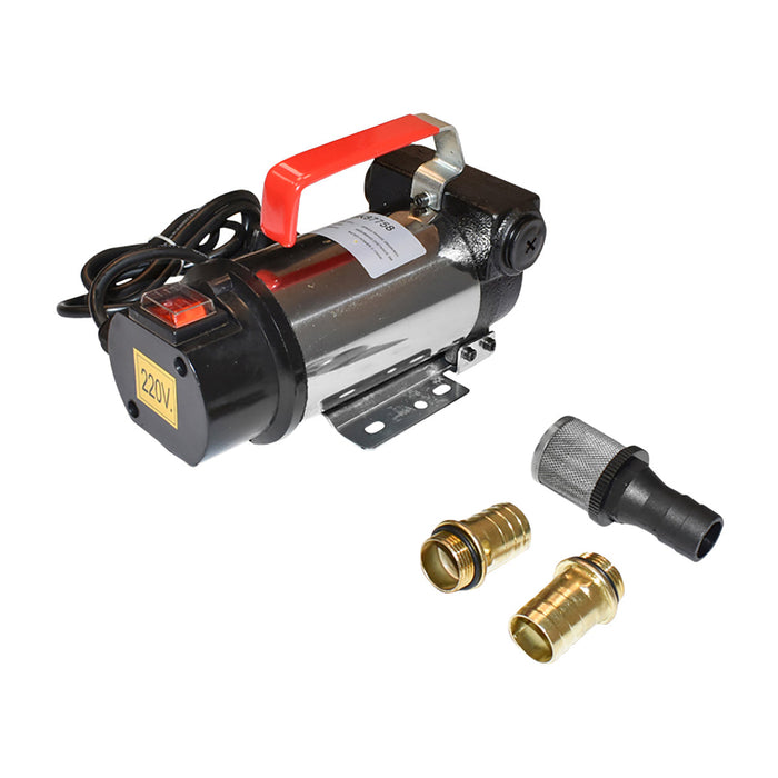 Pompa di trasferimento gasolio 220V portata 40L/min. Breckner Germany