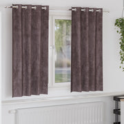 Tende in Velluto 2 pz con Occhielli Marrone 175x140 cm
