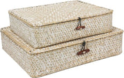 Set di 2 cesti intrecciati in paglia con coperchio, cestini in zecca naturale, organizzatore multifunzionale, scatole per organizzatore di mensola