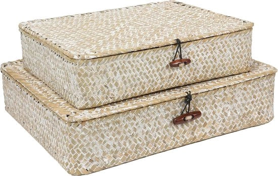 Set di 2 cesti intrecciati in paglia con coperchio, cestini in zecca naturale, organizzatore multifunzionale, scatole per organizzatore di mensola
