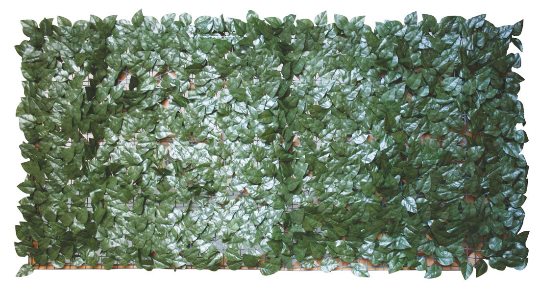 Siepe Artificiale Finta Sempreverde Foglie di Edera Giardino Lauro Point Formato: 1 x 3 mt