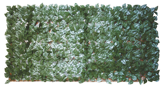 Siepe Artificiale Finta Sempreverde Foglie di Edera Giardino Lauro Point Formato: 1 x 3 mt