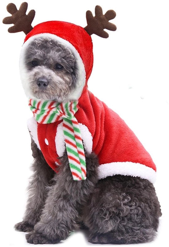Maglietta a cappuccio per cani in flanella calda - Dimensione XL - Comoda e morbida
