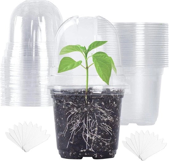 20 pezzi di vaso per nursery in vetro - vaso per piante per semi e steli