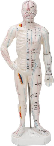 Modello Professionale per il Trattamento dei Punti del Meridiano del Corpo Umano - Per l'Istruzione della Medicina Cinese e l'Artigianato.