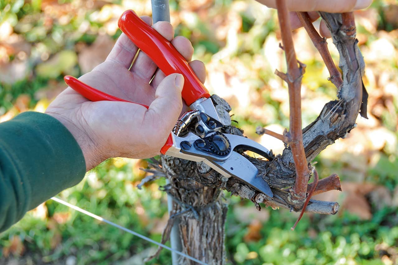 FORBICI POTA FELCO PER POTATURA MOD.8