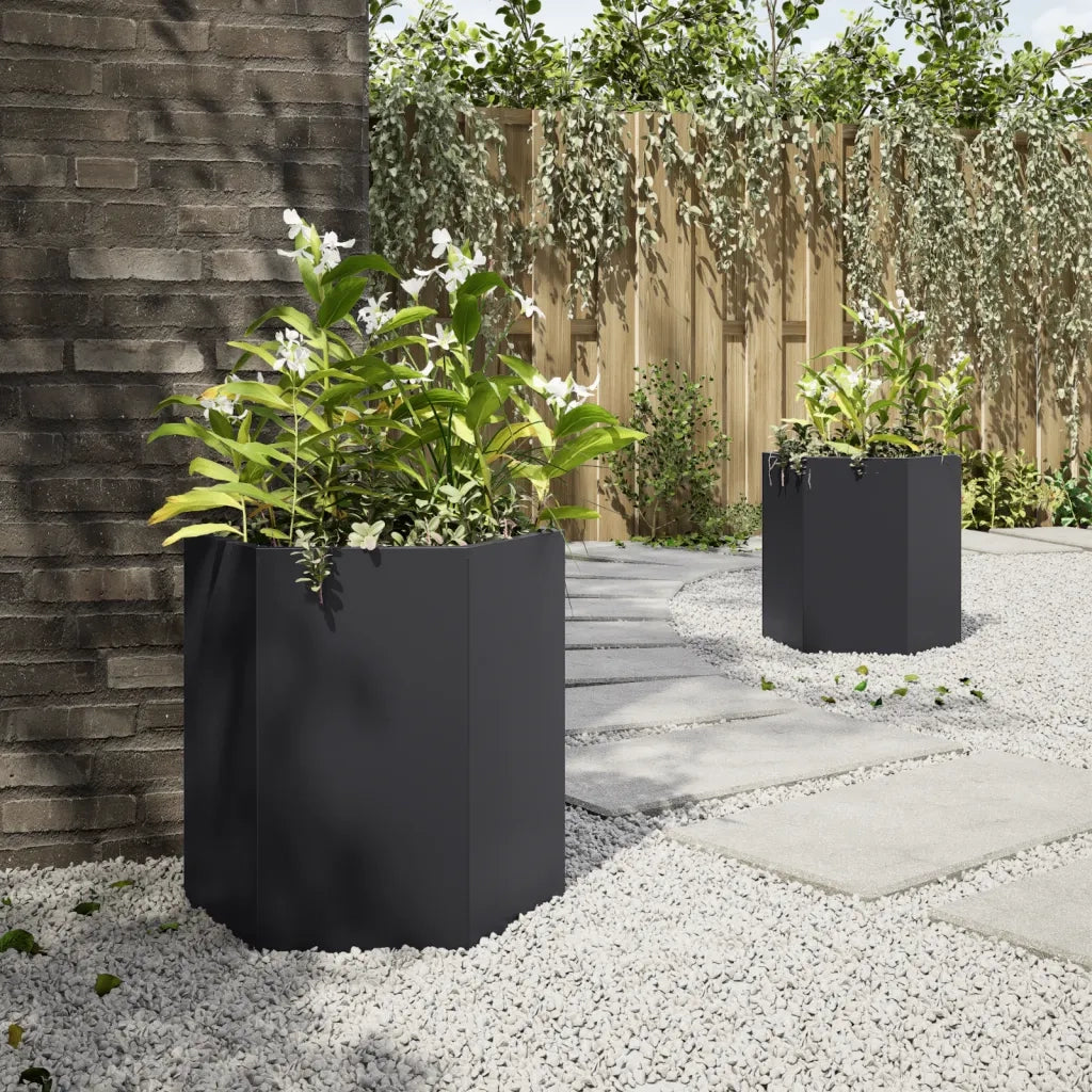 2 pz Fioriere | Cassetta per fiori | Vaso da Giardino Esagono Nero 46x40x45 cm Acciaio