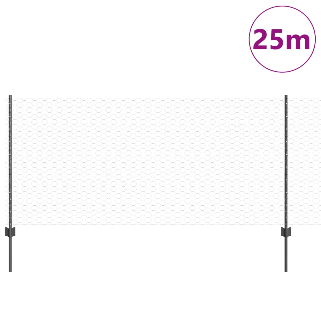 Recinzione Esagonale con 22 Post in Acciaio Grigio 1x25 m