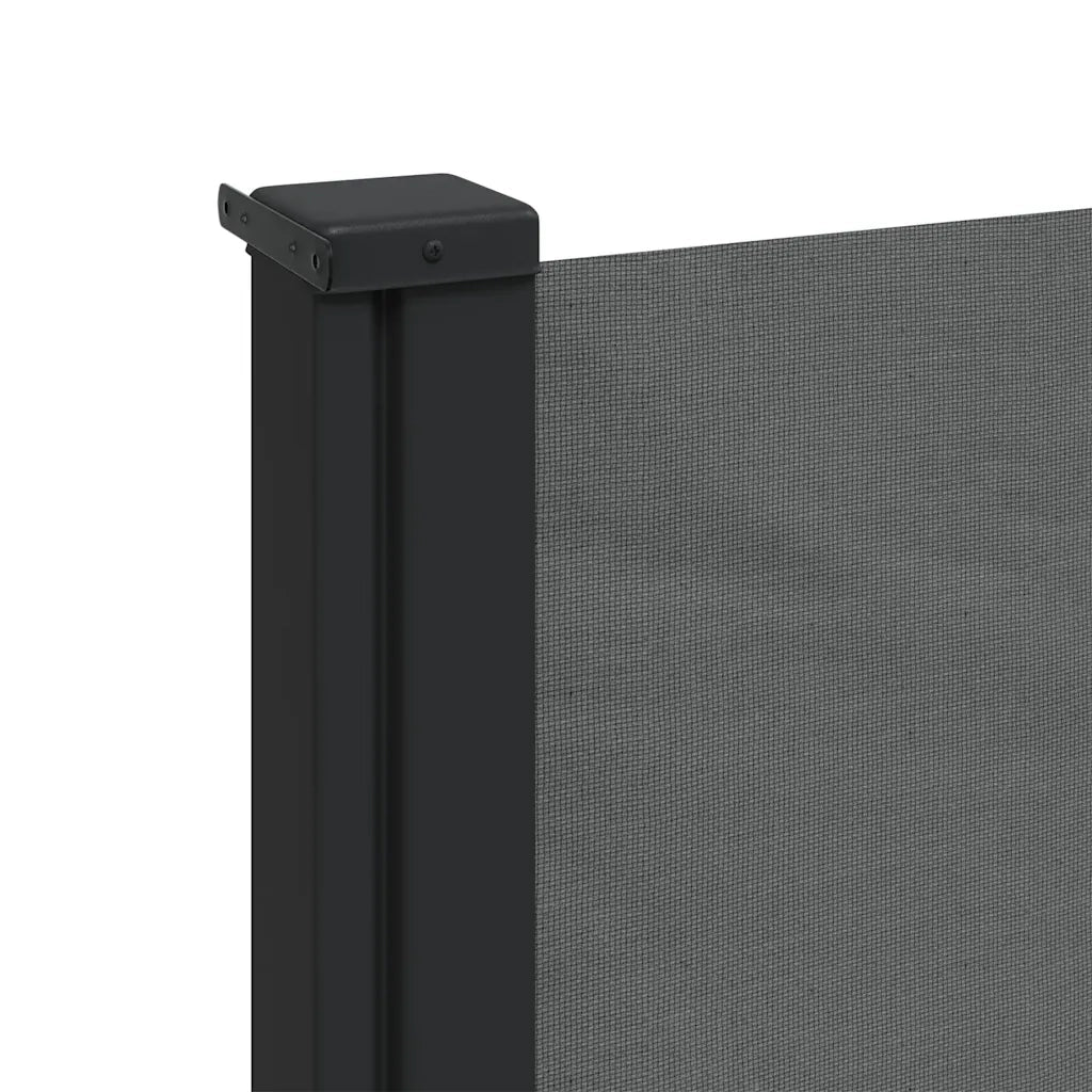 Tenda da sole laterale retrattile antracite 120x600 cm 4004503