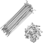 Spaken in Koolstofstaal 14G 145MM - Set di 36 pezzi - Tono Argento - Flessi per Bicicletta con Spillo in Carbonio