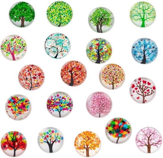 Pacco di 20 Magnetici per Frigorifero del Giardino per Tavolo Magnetico Frigorifero Tabellone Bianco Pannello da Parete Magnetico Tavolo da Cucina Decorativo Forte Regali per Adulti