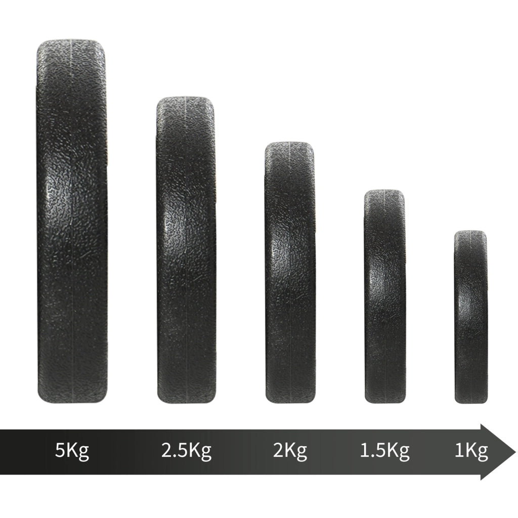 EasyComfort Set Manubri Palestra 30kg (8x2.5 kg, 4x1.5 kg), Pesi Palestra con 12 Dischi e 2 Manubri da 2 kg per Allenamento a Casa, Nero