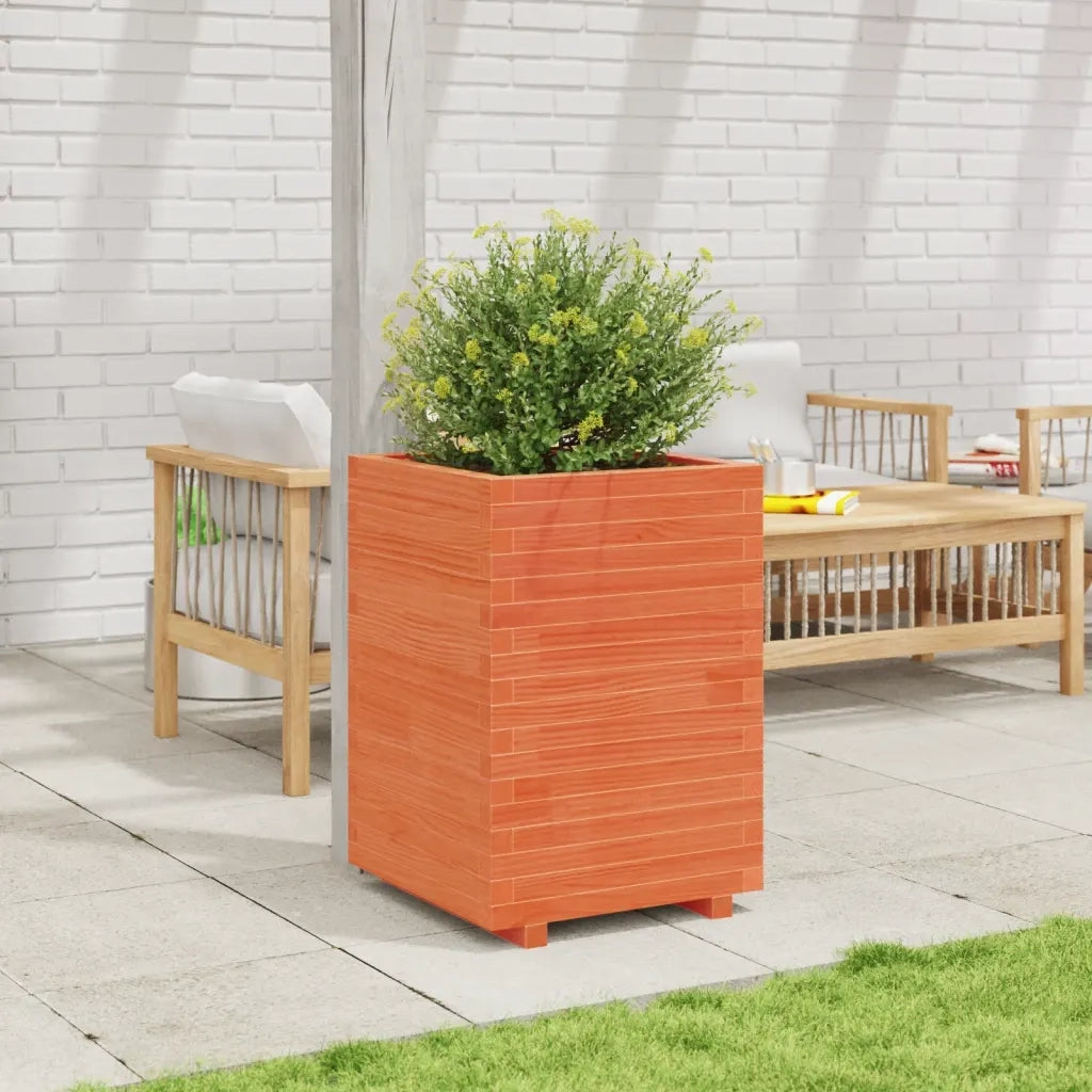 Fioriera Giardino-Vaso da Esterno-Contenitore per Piante Marrone Cera 50x50x72,5cm Legno Massello Pino