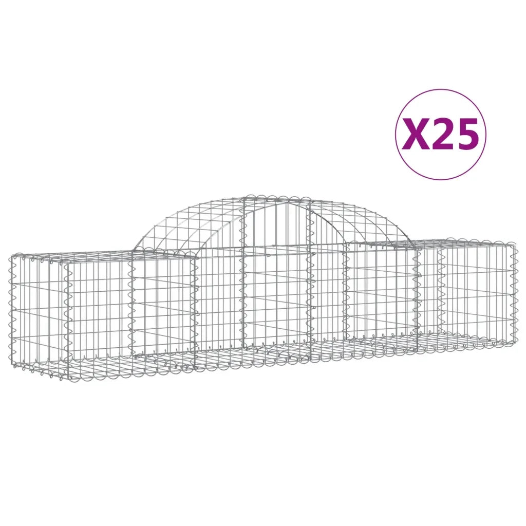 Cesti Gabbioni ad Arco 25 pz 200x50x40/60 cm Ferro Zincato 3146273