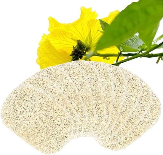Spongia luffa naturale 8 x 13 cm - 10 pezzi con contenitore per sapone per doccia, bagno, cucina - accessori beige