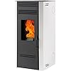Stufa a pellet biofireG80-7,7 kW - braciere ghisa - uscita fumi superiore dx, laterale dx o posteriore dx