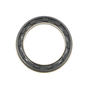 Paraolio per perno fuso per John Deere, Fendt OEM AL161315