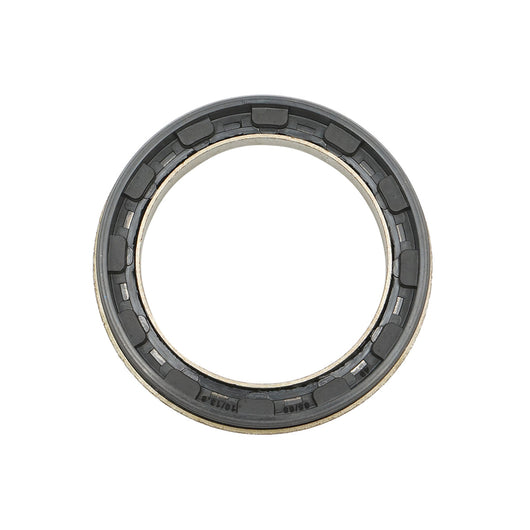 Paraolio per perno fuso per John Deere, Fendt OEM AL161315