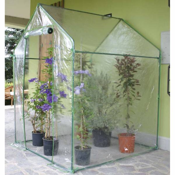 Serra Casetta Verdemax “Clematis” 155×155×H205 cm – telo trasparente incluso