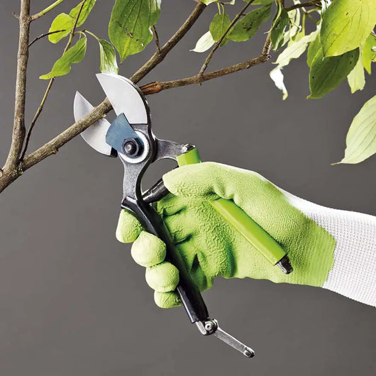 Forbice da giardinaggio a doppio taglio – modello classico professionale