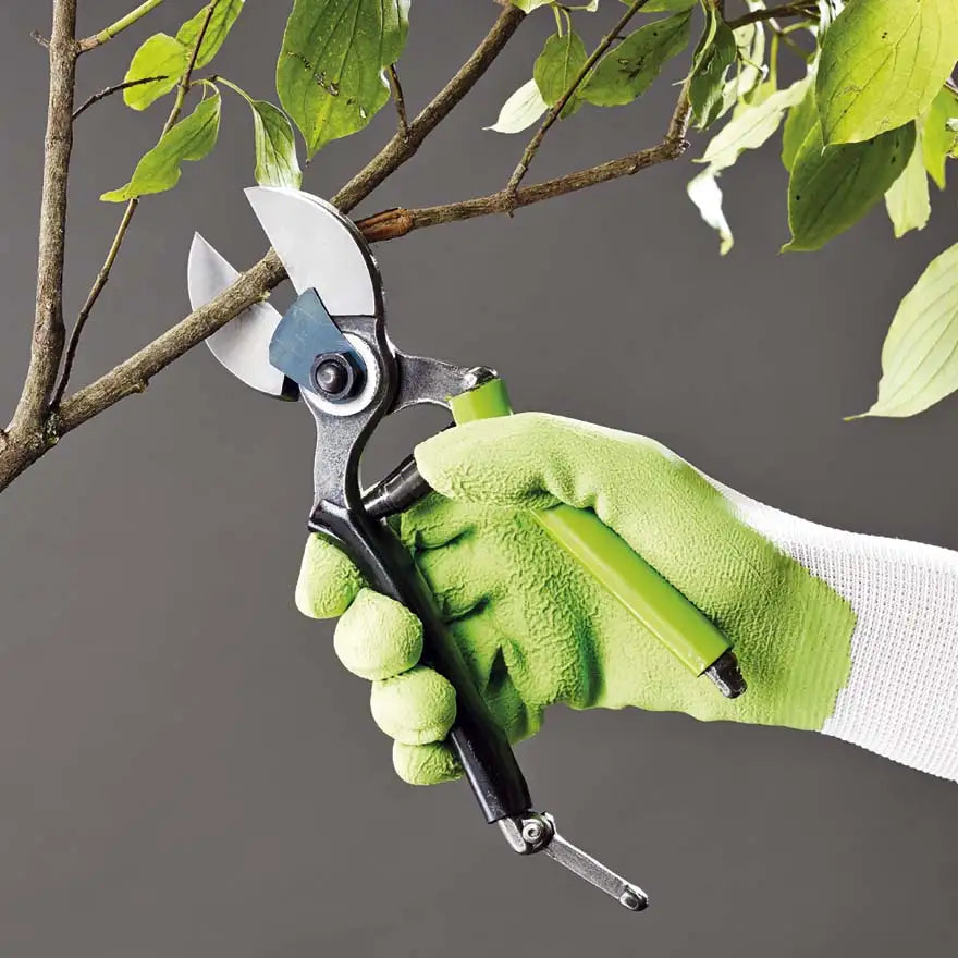 Forbice da giardinaggio a doppio taglio – modello classico professionale