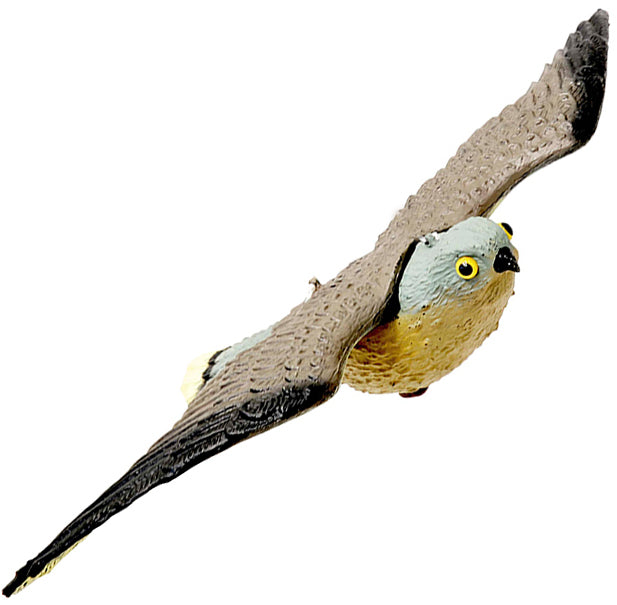 Falco dissuasore per volatili – modello realistico