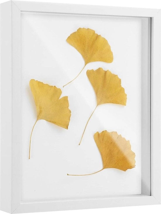 Scatola per foto 3D - Bianco - 25 x 20 cm - Fiori essiccati - Arte manuale - Fai da te.