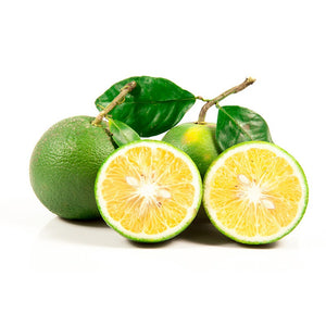 Pianta di MAPO CITRUS pompelmo MANDARINO agrumi h 100 cm vaso 18 cm FOTO REALE