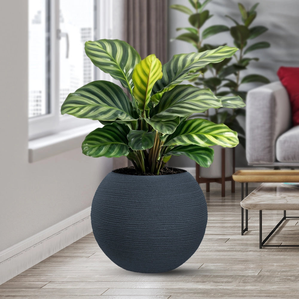 Vaso in resina da esterno interno per piante tondo a sfera di design d.40x33h Botticelli Grigio