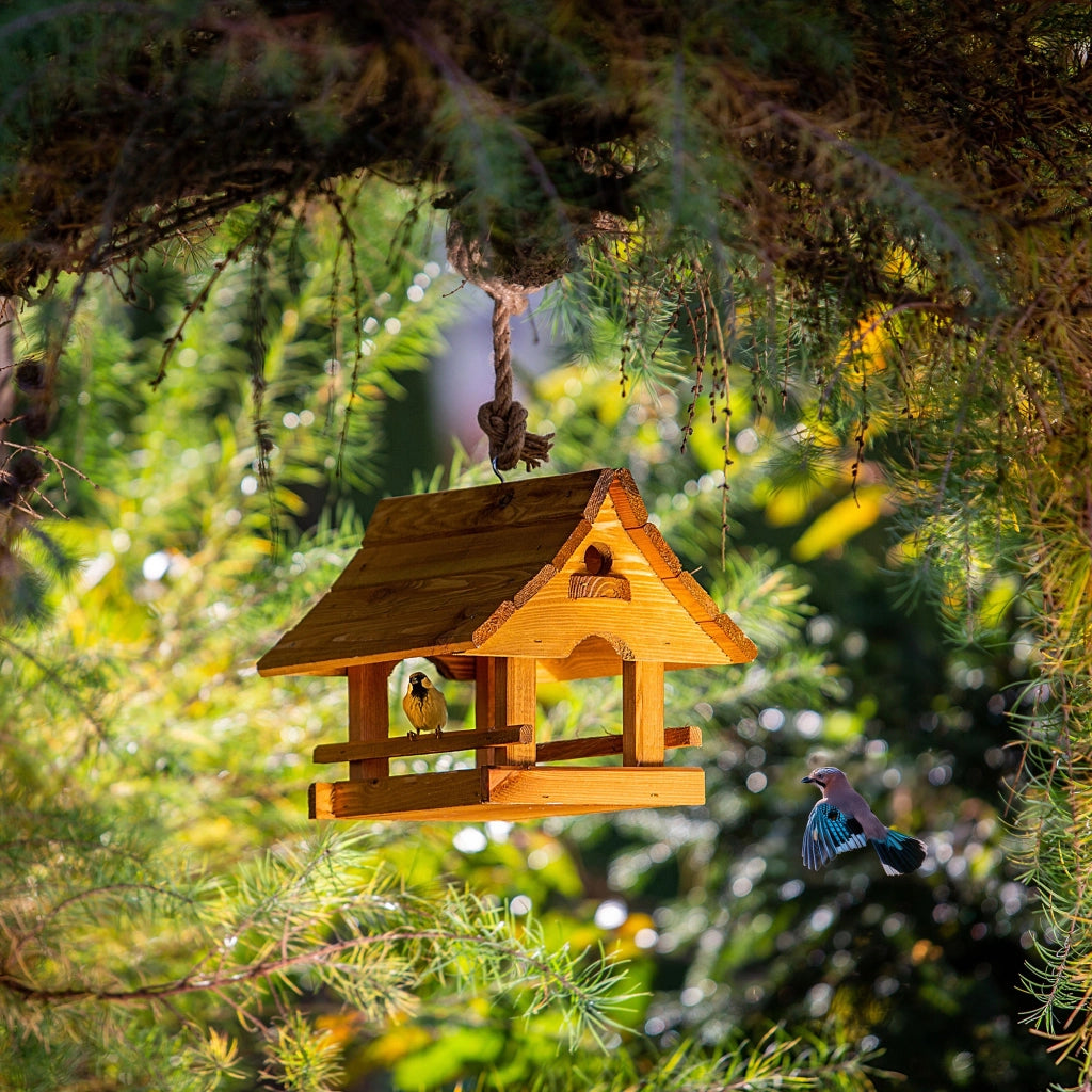 KADAX Grande mangiatoia per uccelli in legno da appendere, decorazione da giardino.