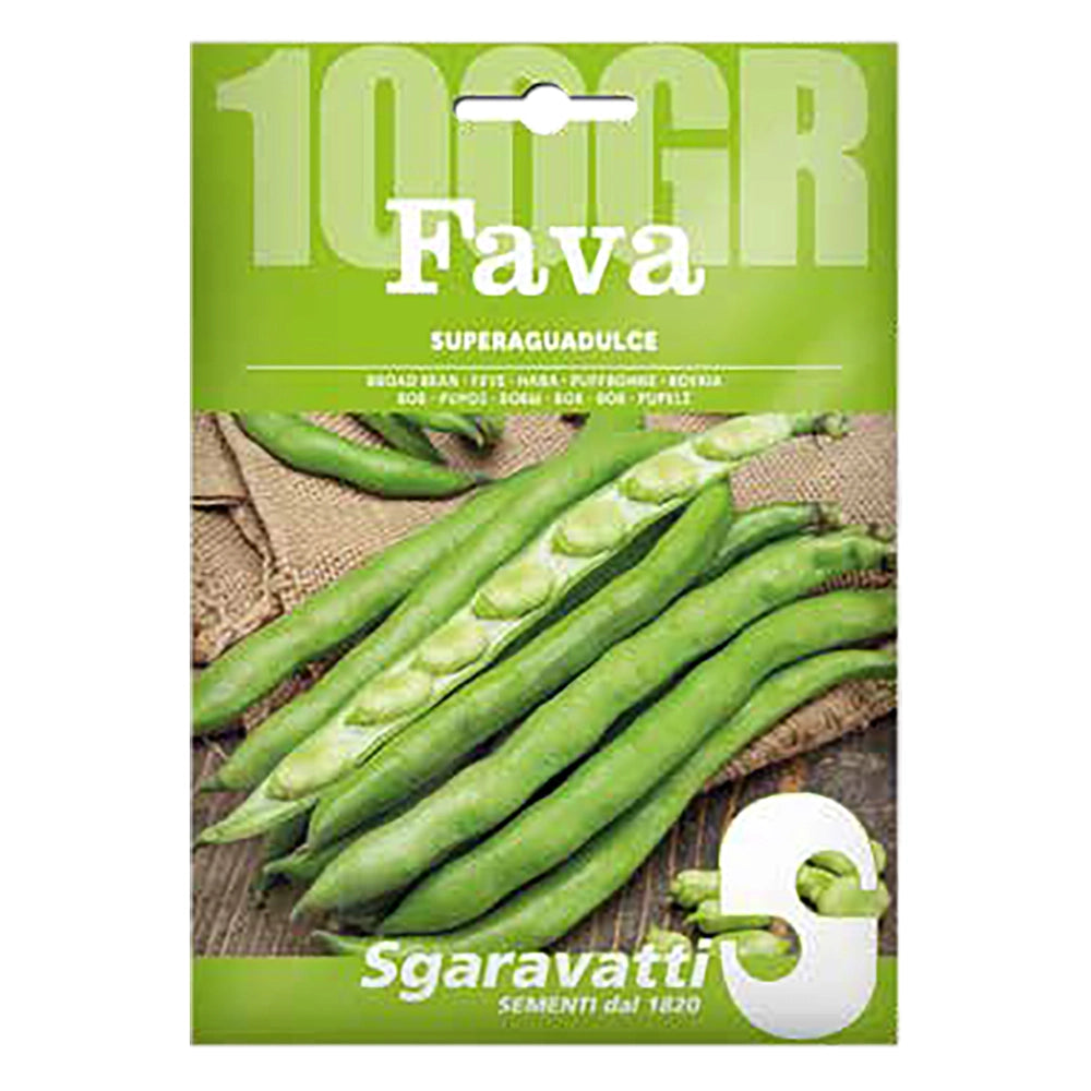 SEMI PER FAVE fava superaguadulce - gr 250  - SGARAVATTI