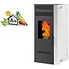 Stufa a pellet biofireG100 CANALIZZATA - USCITA laterale SX, posteriore SX