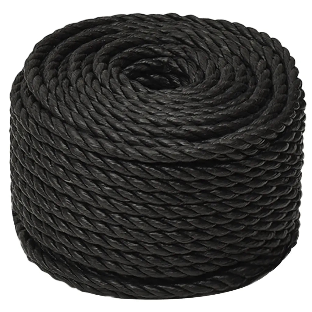 Corda da Lavoro Nera 12 mm 50 m in Polipropilene 153017