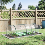 SERRA Da giardino 250x100x80 cm Plastica Trasparente