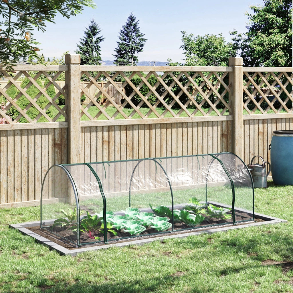 SERRA Da giardino 250x100x80 cm Plastica Trasparente