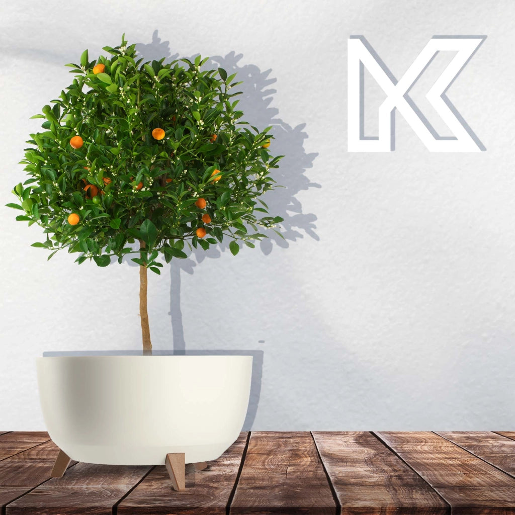 Vaso da fiori KADAX, fioriera, coperchio, gambe, inserto, supporto per fiori, 47 cm, bianco, ciotola rotonda