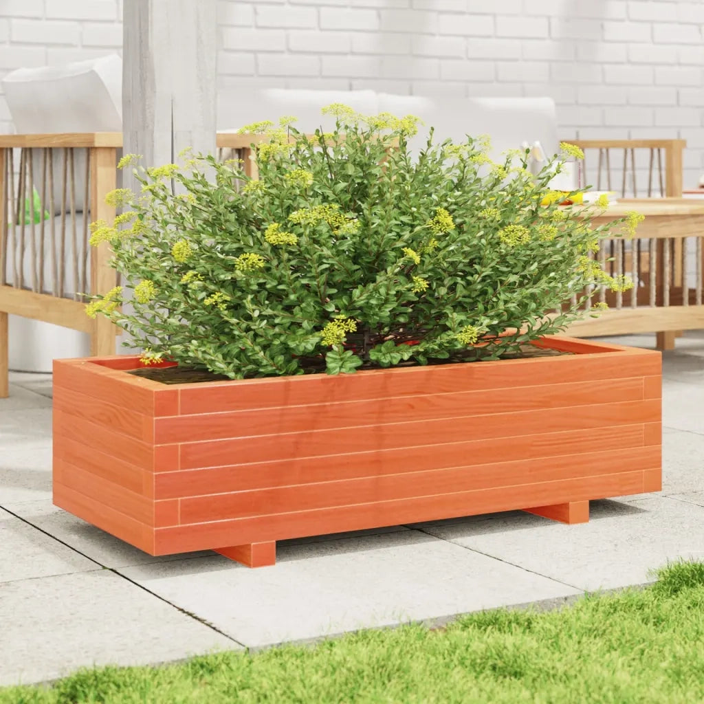 Fioriera | Cassetta per fiori | Vaso Giardino Marrone Cera 90x40x26,5cm Legno Massello Pino