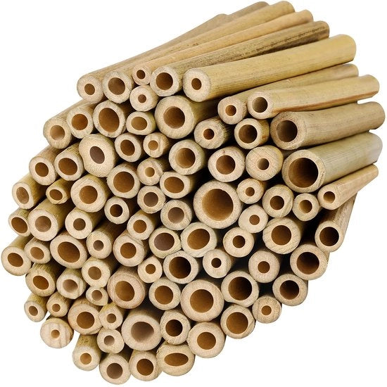 Steli di Bambù (100 pezzi) - Rilievo Naturale Ospedale per Insetti - L10 x B09 cm - Forte e Duraturo Ospedale per Apis Selvatiche - Bastone per Supporto di Piante per Hobby