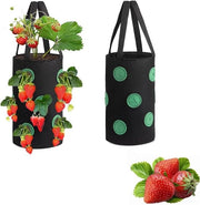 Zak per terra per fragole e verdure - Sacca appesa per piante con foro - Manico non tessuto per piante appese - Adatto per erbe, verdure e fiori