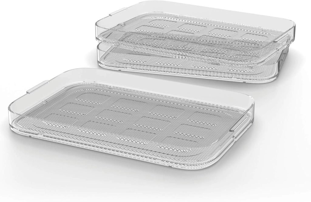 WMF KitchenMinis Essiccatore Compatto Snack to Go, in Acciaio Cromargan con 5 Griglie di Essicazione in Tritan, Sistema Silenzioso, Essicatore con Display LCD e Timer Programmabile, Dim. 28 x19x21 cm