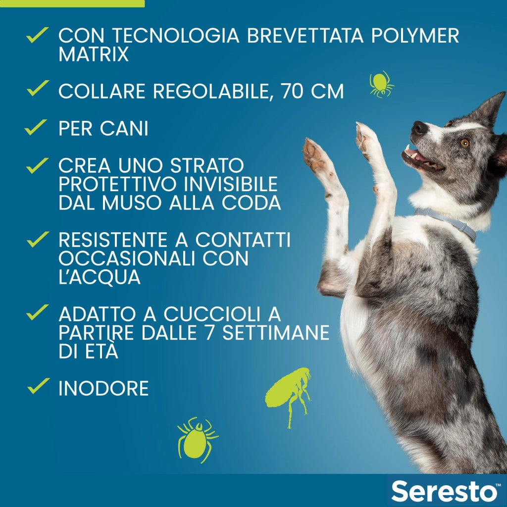 Bayer COLLARE ANTIPARASSITARIO SERESTO per cani fino a kg. 8 cm. 38