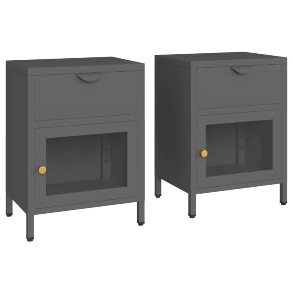 Set di 2 Comodini | Armadio da Notte | Mobiletto da notte Antracite 40x30x54,5 cm in Acciaio e Vetro