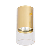 Faretto da soffitto rotondo dorato 1xGU10 10W Ricky