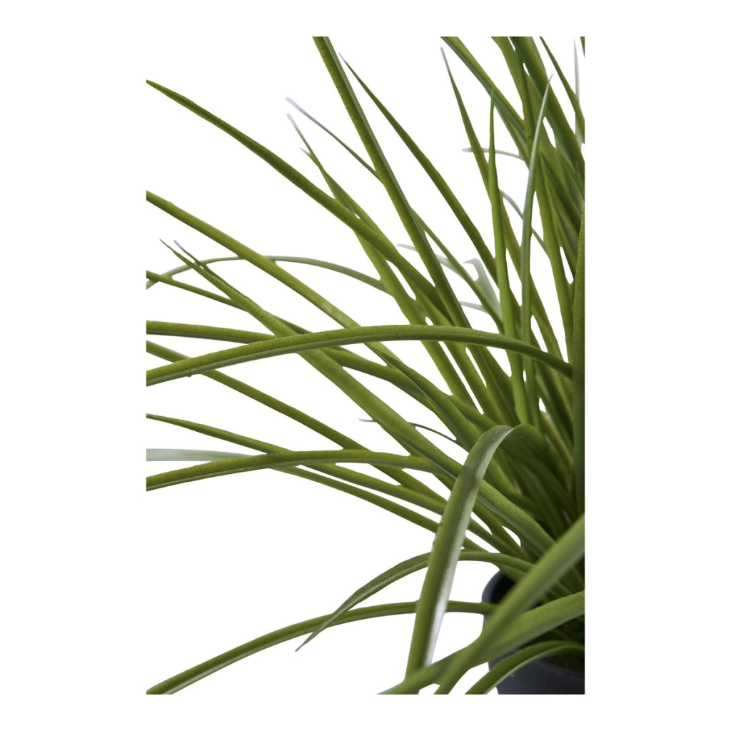 Pianta Artificiale Lovely, Verde, Plastica PE, 51x51x45 cm