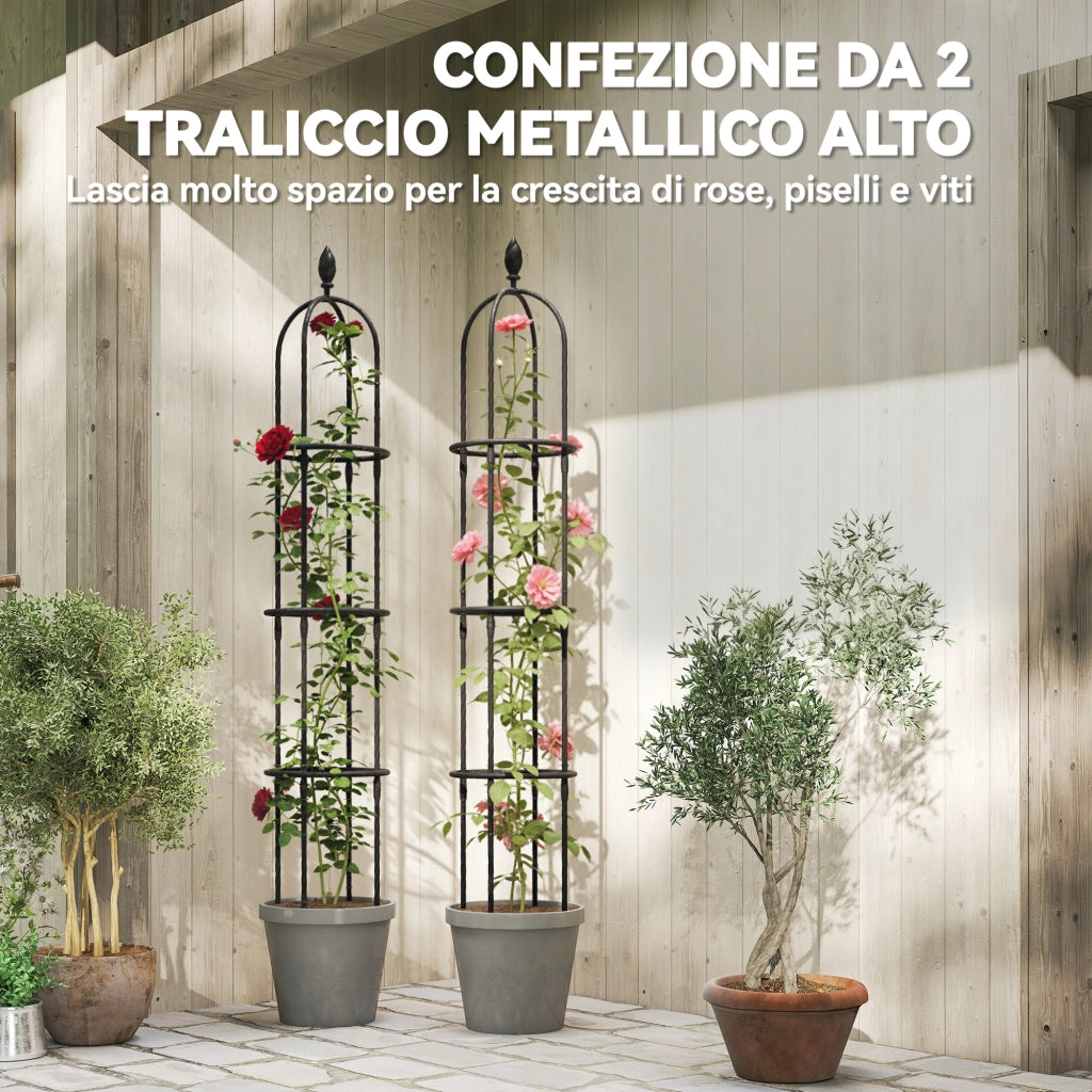 Set 2 Supporti per Piante Rampicanti Alti 1.7 m in Acciaio Antiruggine con Decorazioni. Nero