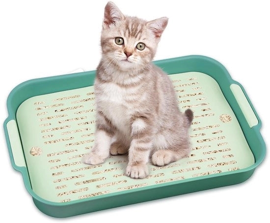 Toilet per coniglio, toilet per coniglio, toilet per coniglio, toilet per gatto grande, asciugamano per piccoli animali conigli e cavi (verde-grande)