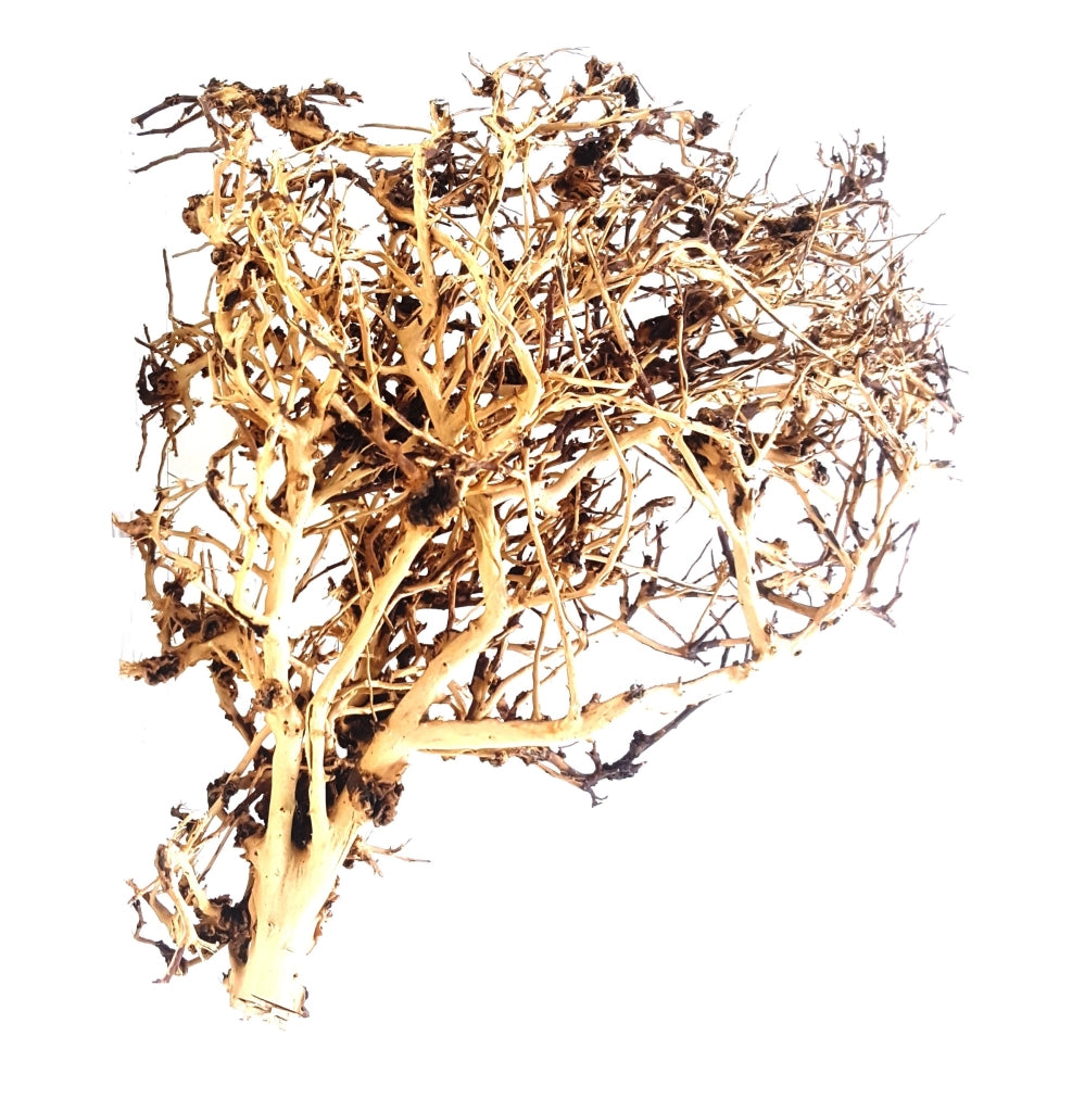 Whimar Tiny Ramous Wood Foto Indicativa - Legni naturali ad elevata ramificazione per Aquascaping Modello: S (20-30cm)