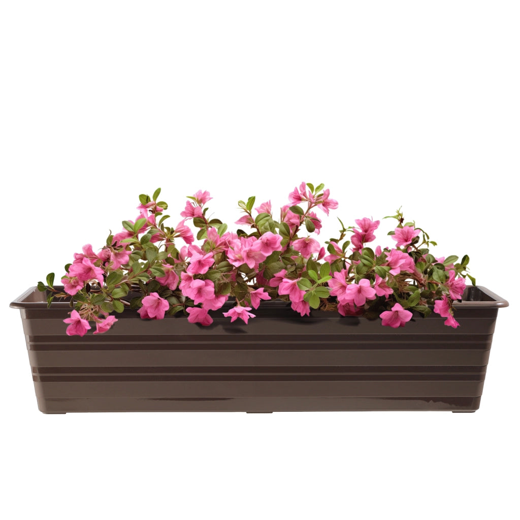 KADAX Vaso da fiori per balcone, grande, 60 cm, confezione da 6 pezzi, supporto per fiori