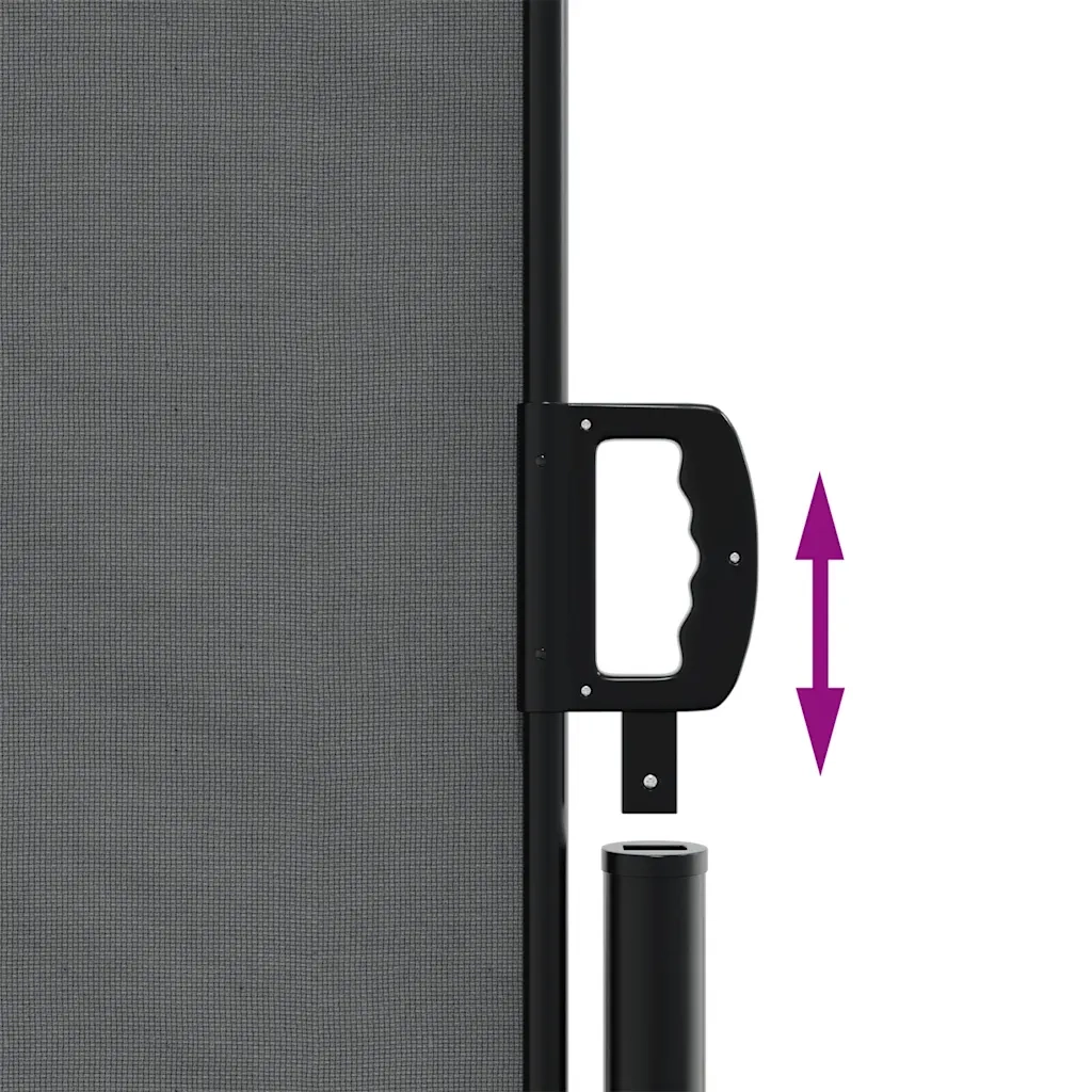 Tenda da Sole Laterale Retrattile Antracite 200x1000 cm 4004763